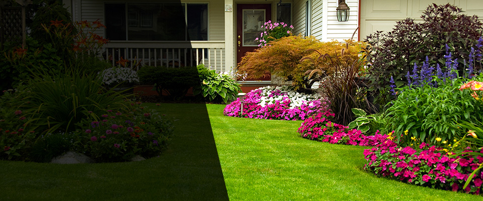 Dundalk Landscapers