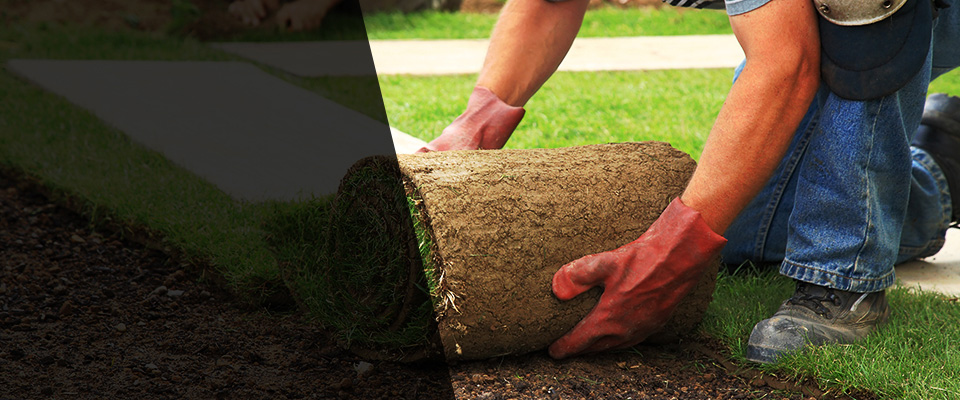 Dundalk Landscapers
